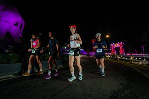 BIB: 
                            <button type="button" onclick="openModal(26552557)" class="btn btn-primary btn-sm float-right btn-popup" data-toggle="modal" data-target=".modal-high-quality">
                        <i class="fas fa-shopping-cart"></i> Add to Cart
                    </button>
                                            <button type="button" onclick="isThisMe(26552557, true)" class="btn btn-success btn-sm float-right btn-popup btn-isme hidden" data-toggle="tooltip" data-placement="bottom" title="นี่คือรูปของคุณใช่ไหม คลิกที่นี่เพื่อเอาเข้าอัลบั้ม">
                        <i class="fas fa-plus"></i> Add to album
                    </button>
                    <button type="button" onclick="isThisMe(26552557, false)" class="btn btn-warning btn-sm float-right btn-popup btn-isnotme hidden">
                        <i class="fas fa-ban"></i> Remove from album
                    </button>